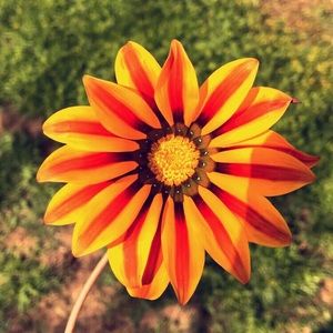 Meet your Posher, Julianna